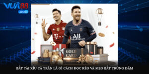 bat tai xiu ca tran la gi cach doc keo va meo bat trung dam 4