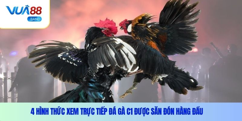 4 hình thức xem trực tiếp đá gà C1 được săn đón hàng đầu