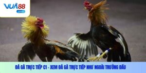 da ga truc tiep c1 thumb