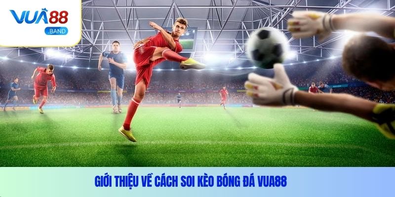 Giới thiệu về cách soi kèo bóng đá Vua88