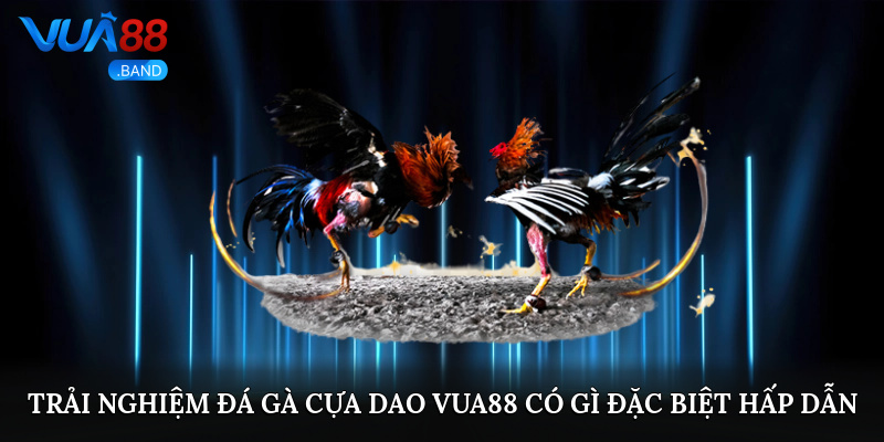 Đá Gà Cựa Dao Vua88 – Sân Chơi Giải Trí Cuốn Hút 2025 1 trai nghiem da ga cua dao vua88 co gi dac biet hap dan 1